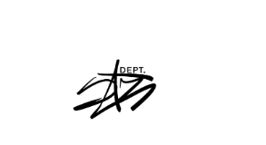 Steez Department image 1